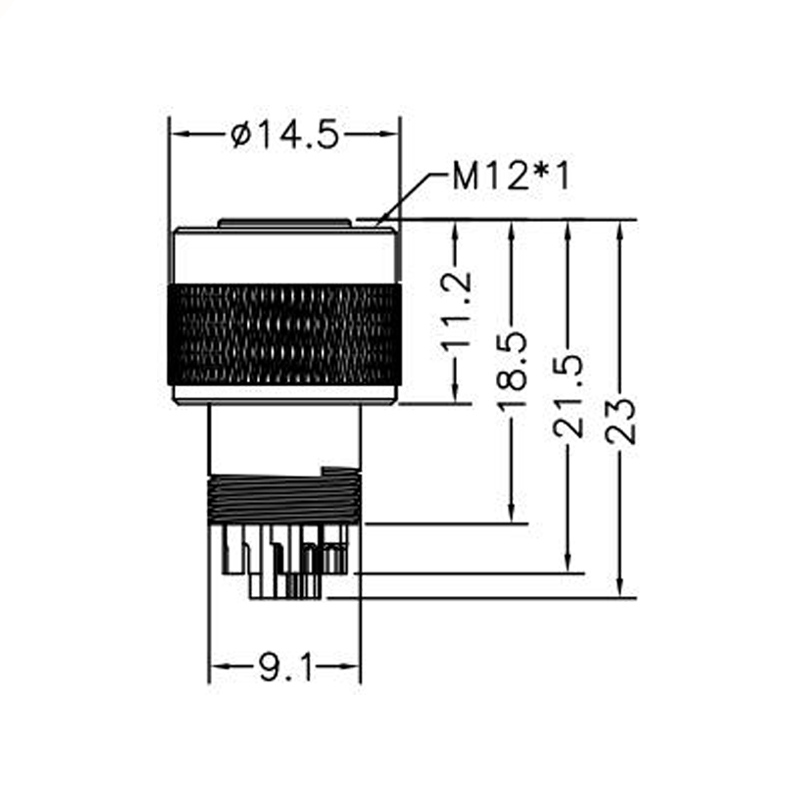 M12 17pin A code female moldable connector,unshielded,brass with nickel plated screw